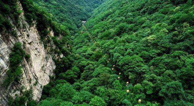 迷失在荒野